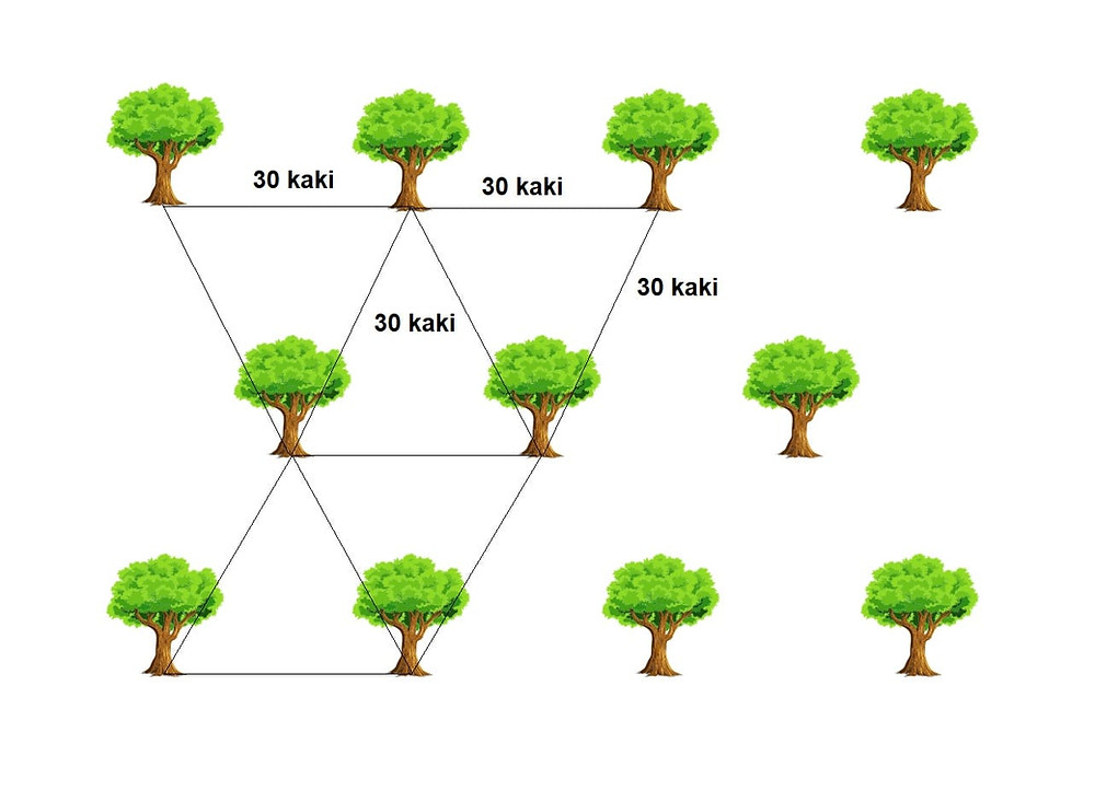 MSITU triangular mesh layout